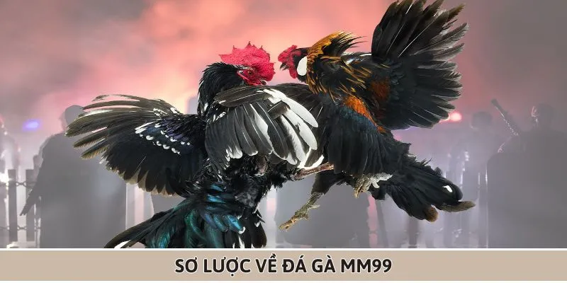 doi-net-ve-da-ga-mm99-cho-nguoi-moi-tham-gia