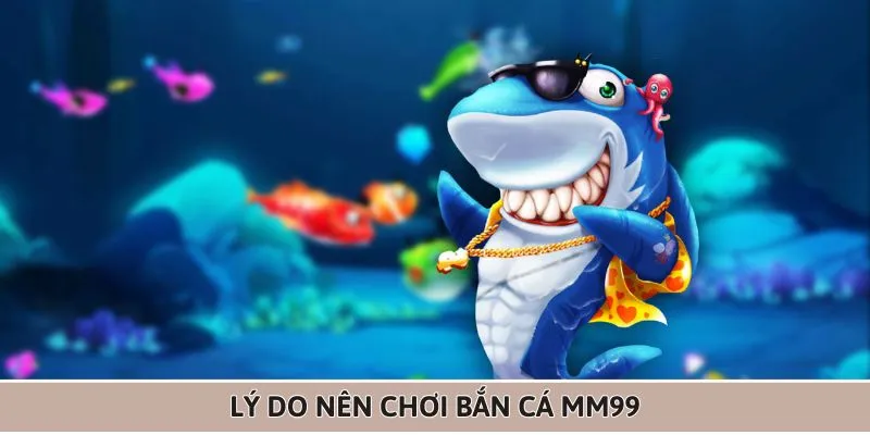ly-do-ma-ban-nen-lua-chon-ban-ca-mm99
