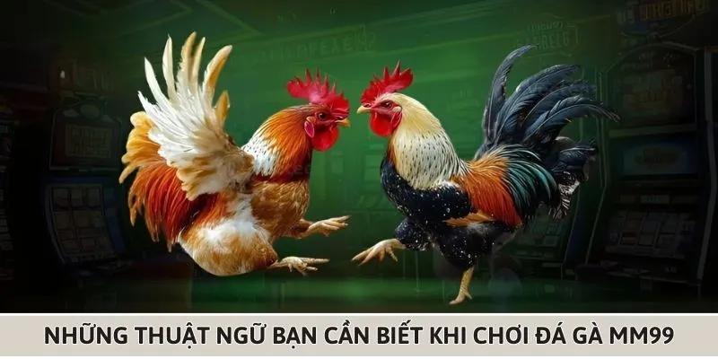 mot-so-thuat-ngu-ve-da-ga-mm99-ban-can-quan-tam