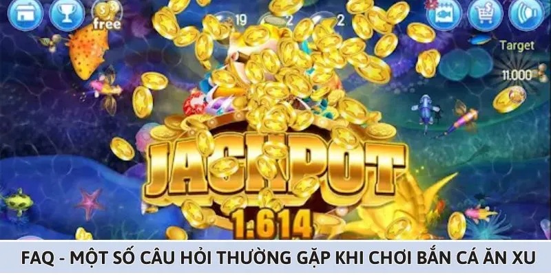 nhung-cau-hoi-thuong-gap-trong-ban-ca-an-xu