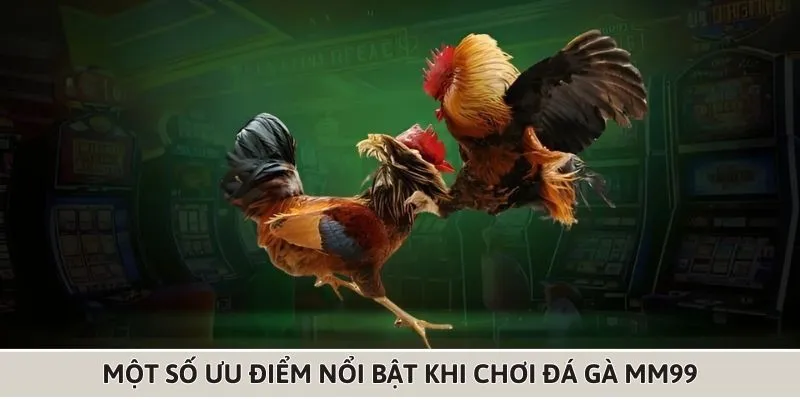 nhung-loi-ich-ma-da-ga-mm99-dem-lai